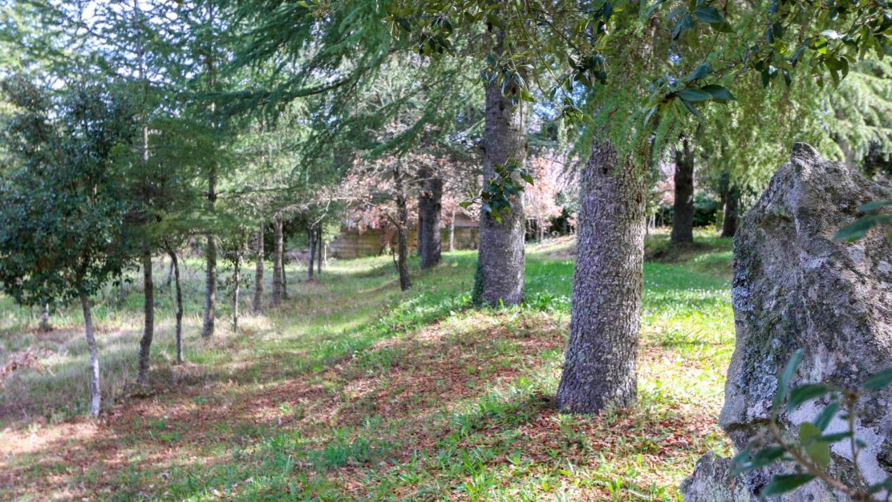 Welcomely - Country House Perda E Testa Villa Mamoiada Esterno foto